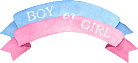 Fiú vagy Lány